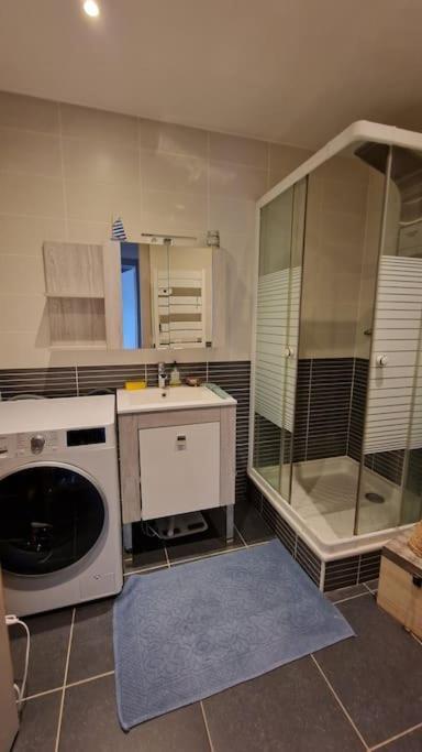 Appartement Cocooning Ars-sur-Moselle Kültér fotó